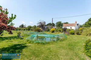 Fish Pond- click for photo gallery